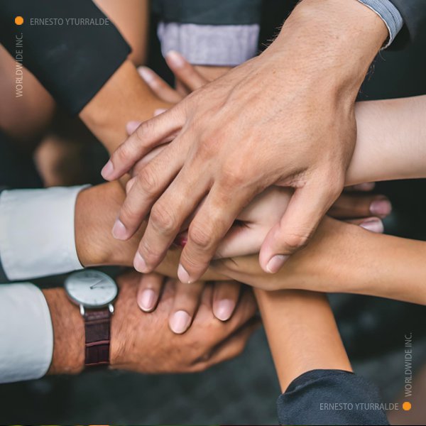 LATAM Team Building y Cuerdas Bajas | Team Building Empresarial para el desarrollo de equipos de trabajo