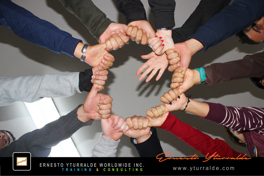 Taller de Cuerdas Bajas | Formación de Equipos Altamente Efectivos